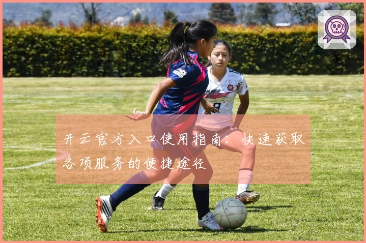 开云官方入口使用指南：快速获取各项服务的便捷途径