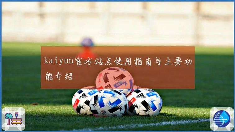 kaiyun官方站点使用指南与主要功能介绍